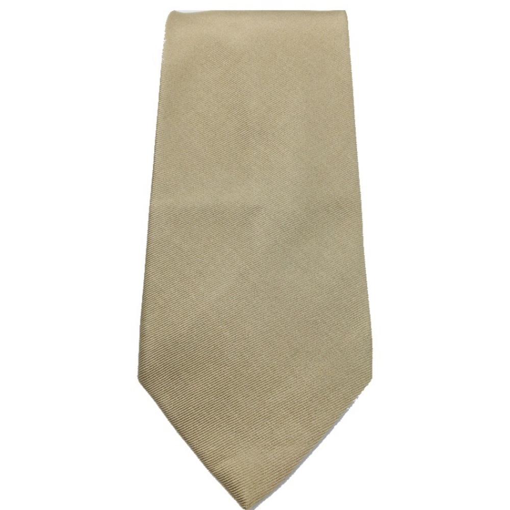 Zegna Champagne Silk Beige Tie